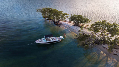 2019 Chris-Craft Launch 25 GT