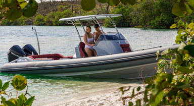 2021 Cobra Ribs Nautique 8.7