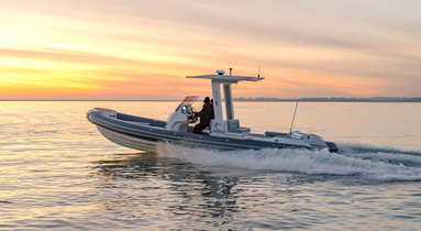 2020 Cobra Ribs Patronus 8.4