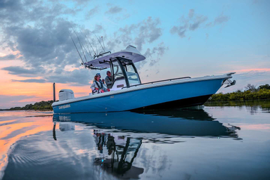 2022 Everglades 253 CC