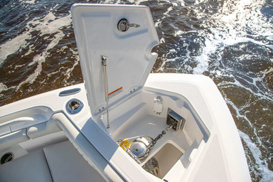 2022 Everglades 273 CC