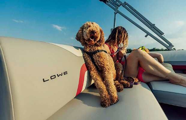2021 Lowe Boats SS 270 EW