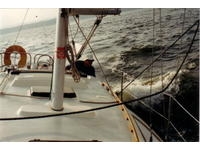 1980 Hunter Boats Sloop