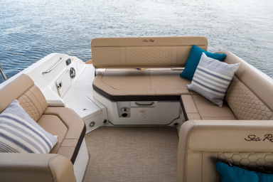 2022 Sea Ray SDX 250 