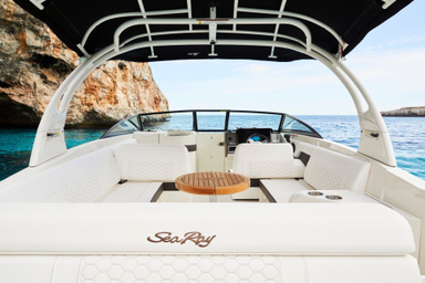2022 Sea Ray SDX 270
