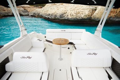 2022 Sea Ray SDX 270