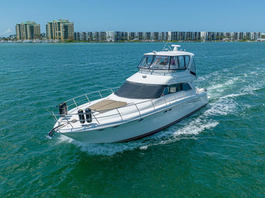 2003 Sea Ray Sedan Bridge 480