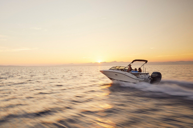 2023 Sea Ray SPX 190 Outboard