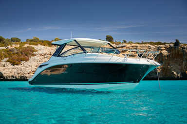 2022 Sea Ray Sundancer 320 