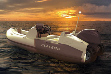 2022 Sealegs 3.8M Tender