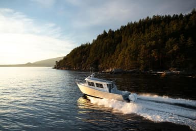 2022 Coastal Craft 33 Profish