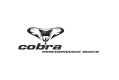 cobra-logo.png