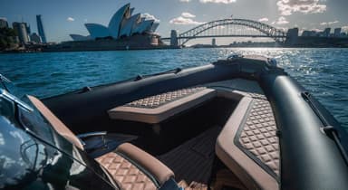 2022 Cobra Ribs Nautique 9.7