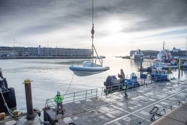 2020 Cobra Ribs Patronus 5.6