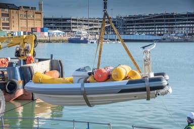 2020 Cobra Ribs Patronus 5.6