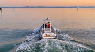 2020 Cobra Ribs Patronus 8.4