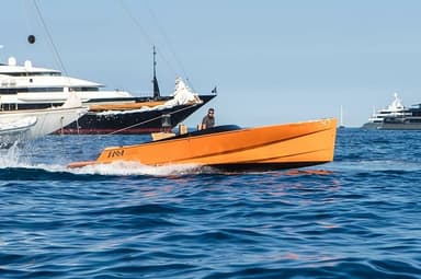 2022 Go Electric Say 29 E