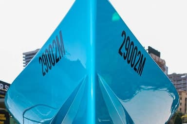 2022 Go Electric Say 29 E