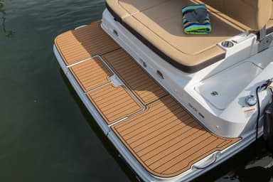 2022 Sea Ray SDX 250 