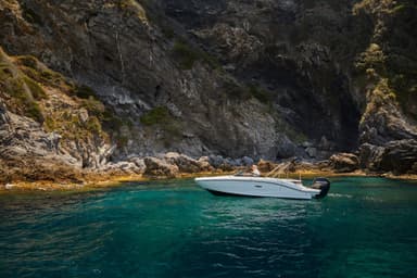 2023 Sea Ray SPX 190 Outboard