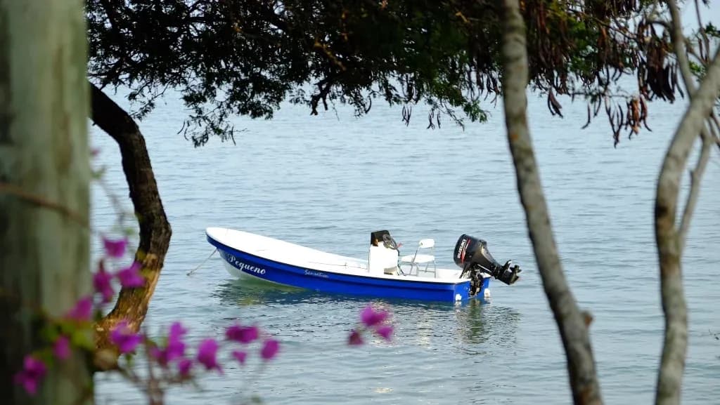 2019 Sensation Boats Islander