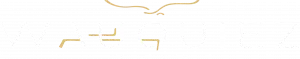 Wauquiez Logo.webp