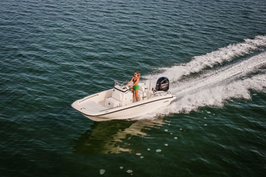 2017 Boston Whaler 170 Dauntless