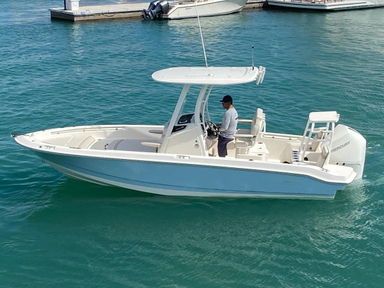 2022 Boston Whaler 220 Dauntless