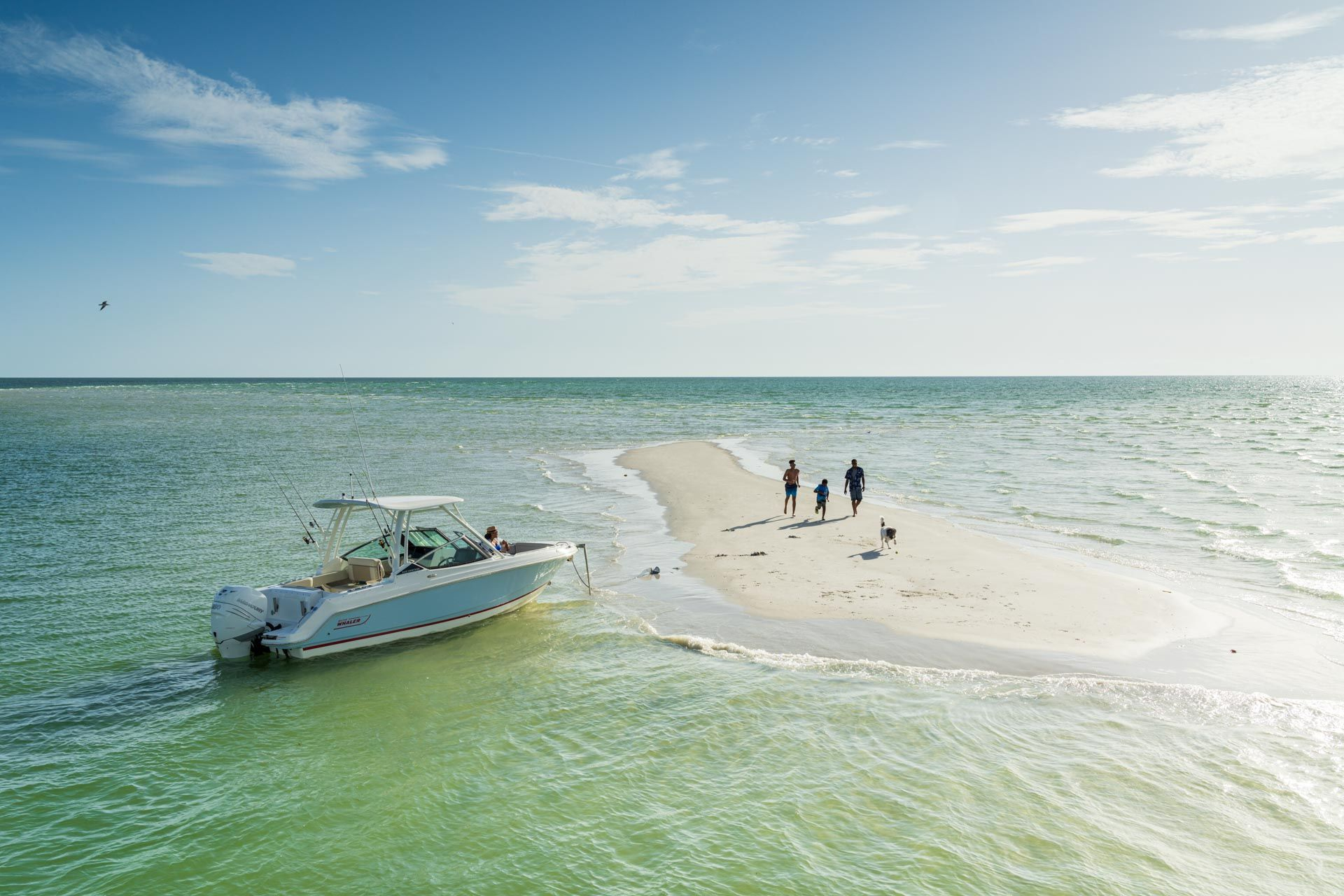 2022 Boston Whaler 240 Vantage