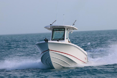 2022 Boston Whaler 250 Outrage