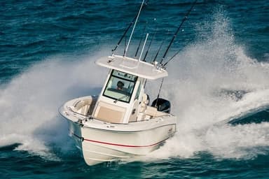 2022 Boston Whaler 250 Outrage