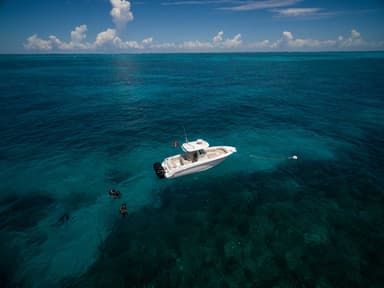 2021 Boston Whaler 280 Outrage