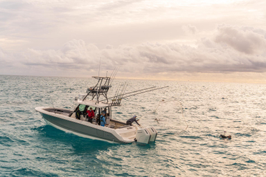 2023 Boston Whaler 360 Outrage