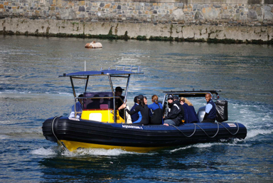 2021 Gemini Marine Waverider 880