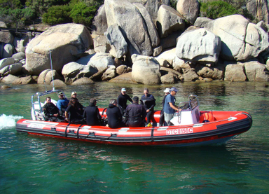 2021 Gemini Marine Waverider 880