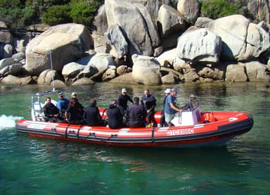 2021 Gemini Marine Waverider 880