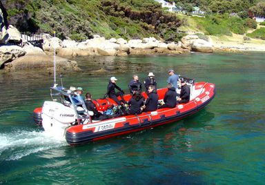 2021 Gemini Marine Waverider 880