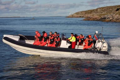 2021 Gemini Marine Waverider 880