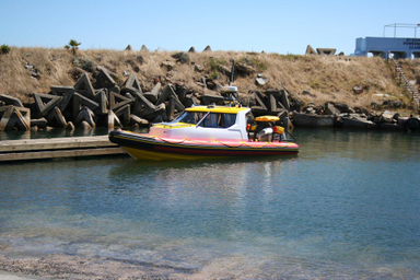 2021 Gemini Marine Waverider 880 Cabin