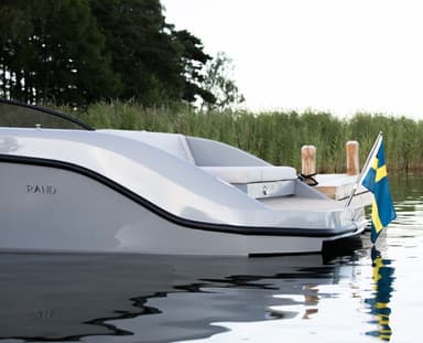 2022 Go Electric Rand Leisure 28