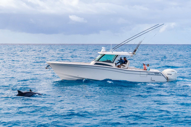 2024 Grady-White Canyon 386