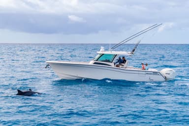 2024 Grady-White Canyon 386