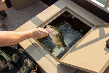 2024 Lowe Boats Ultra 182 Fish Cruise