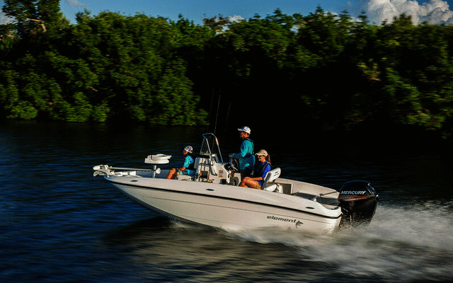 2019 Bayliner Element F18