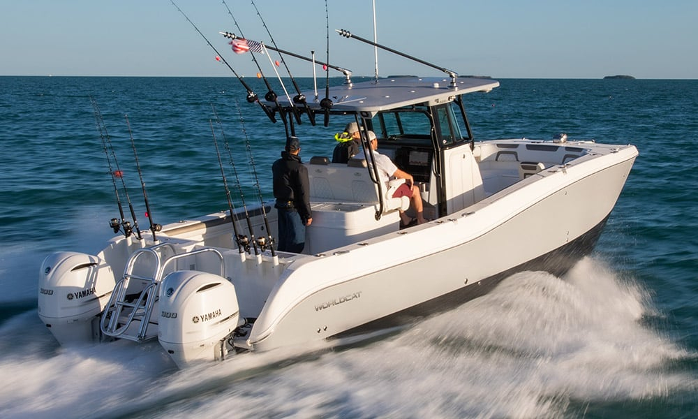 2018 WorldCat 295CC Center Console