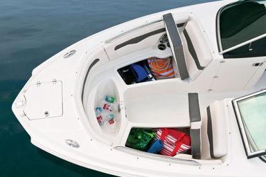 2019 Chaparral Boats 246 SSi