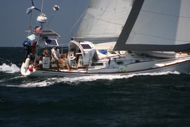 1974 Carter Optimist 37