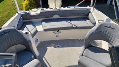 2021 Stingray Boats 201DS