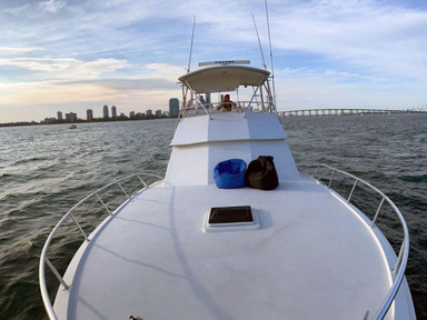 1982 Hatteras Yachts Convertible