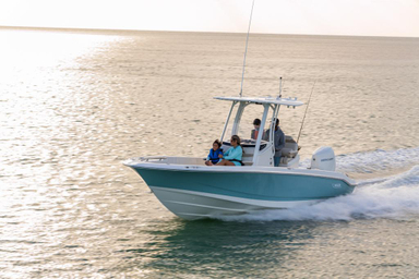 2022 Boston Whaler 250 Dauntless